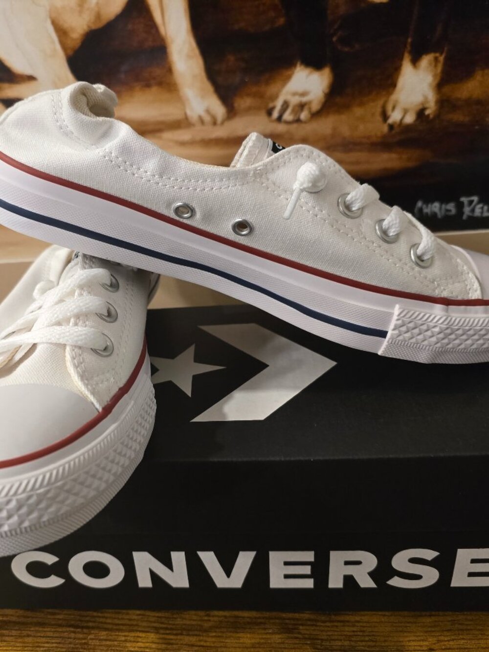 Converse Chuck Taylor All Star Womens 6 Shoreline Slip-On White Shoes 537084C